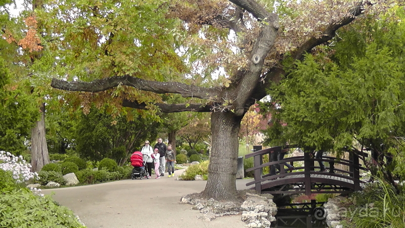 фото El Mouradi Palm Marina