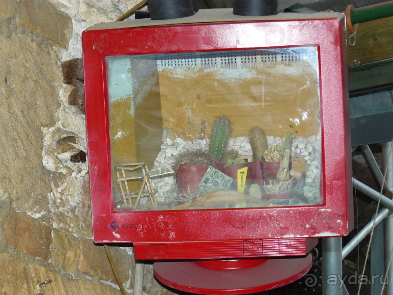 фото El Mouradi Palm Marina