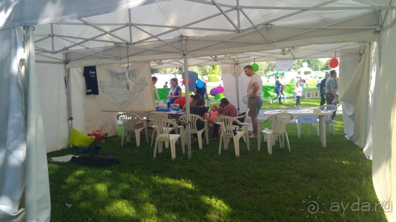 фото El Mouradi Palm Marina