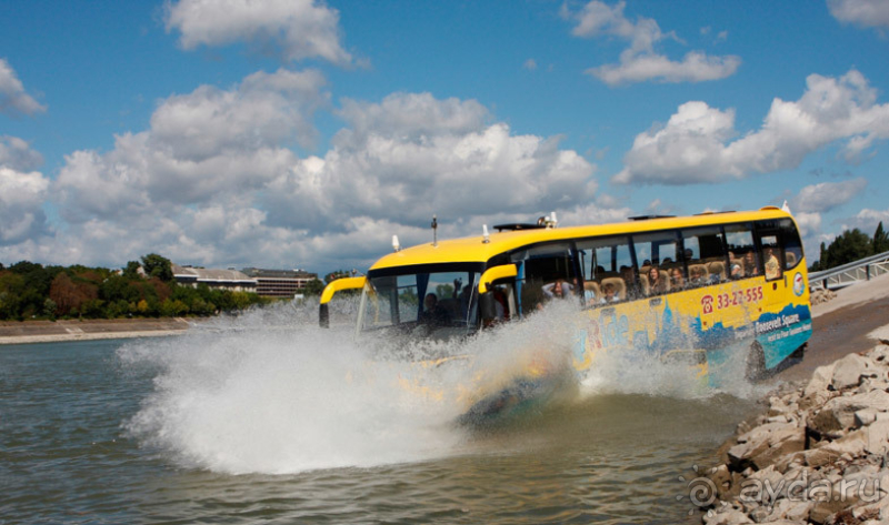 фото El Mouradi Palm Marina