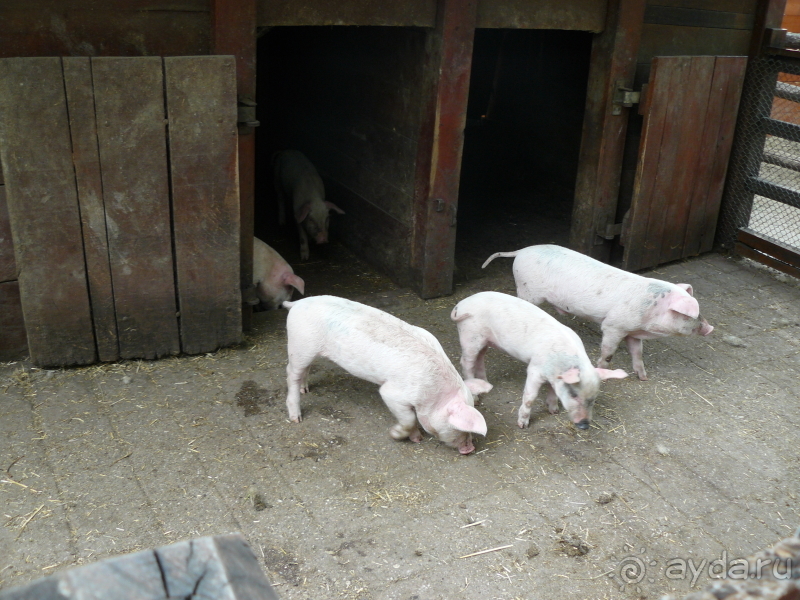 фото El Mouradi Palm Marina