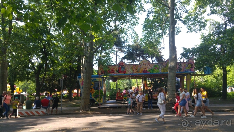 фото El Mouradi Palm Marina