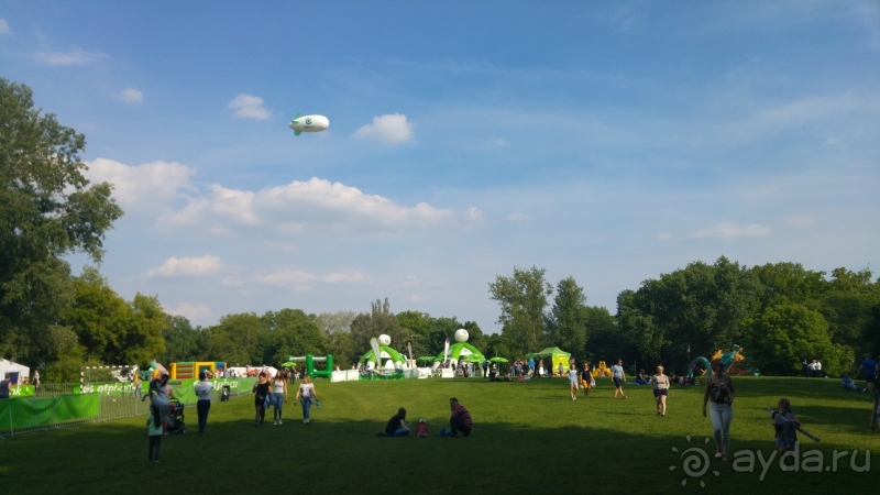 фото El Mouradi Palm Marina