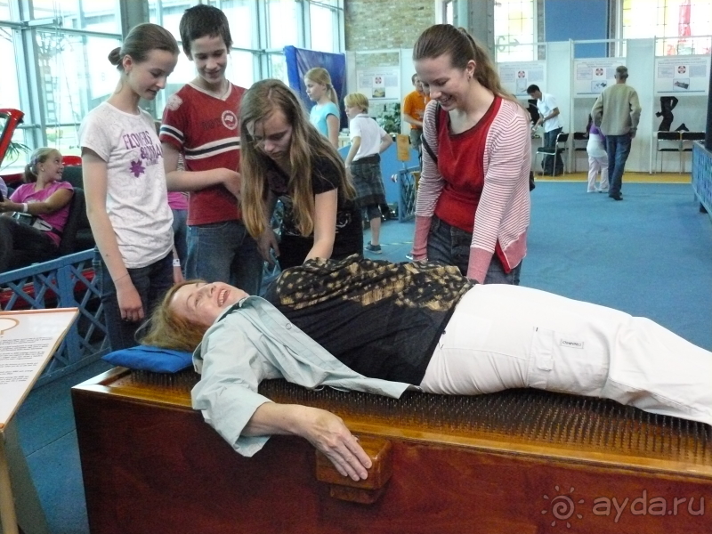 фото El Mouradi Palm Marina