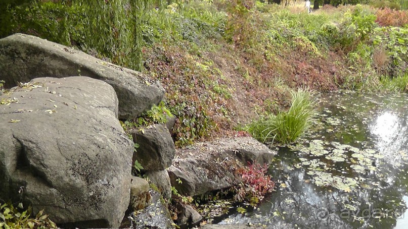 Парк "Александрия" и г. Белая Церковь. Часть I