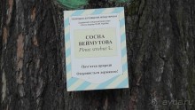 Парк "Александрия" и г. Белая Церковь. Часть I