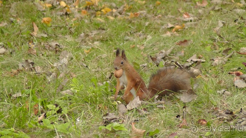 Парк "Александрия" и г. Белая Церковь. Часть I