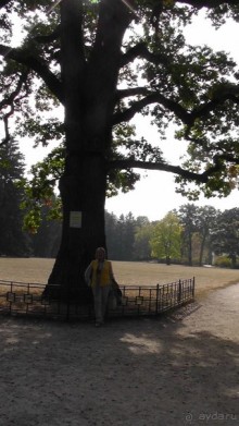 Парк "Александрия" и г. Белая Церковь. Часть I