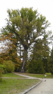 Парк "Александрия" и г. Белая Церковь. Часть I