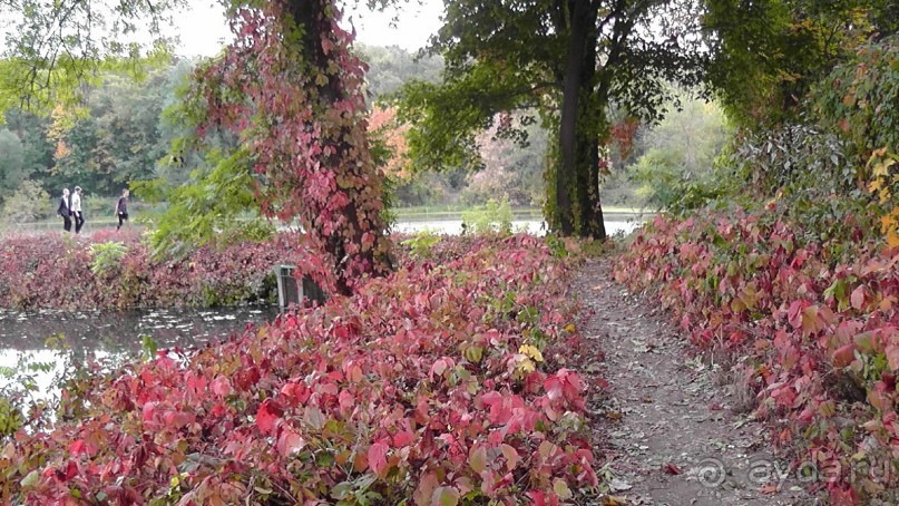 Парк "Александрия" и г. Белая Церковь. Часть I