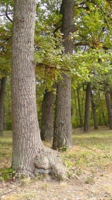 Парк "Александрия" и г. Белая Церковь. Часть I