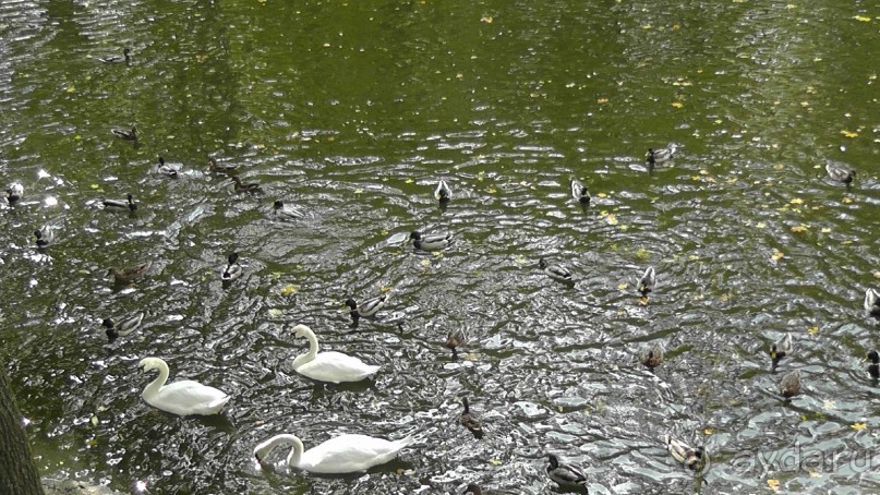 Парк "Александрия" и г. Белая Церковь. Часть I