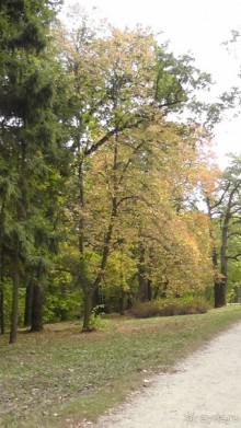 Парк "Александрия" и г. Белая Церковь. Часть I