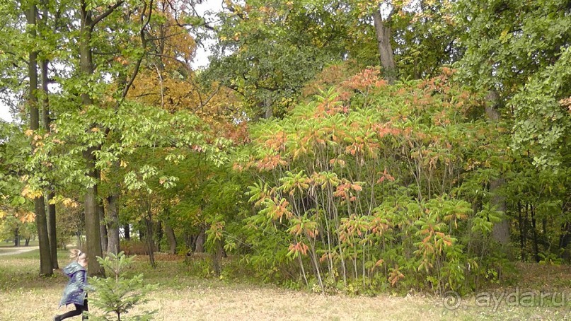 Альбом отзыва "Парк "Александрия" и г. Белая Церковь. Часть I"