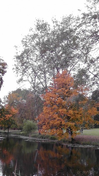 Альбом отзыва "Парк "Александрия" и г. Белая Церковь. Часть I"