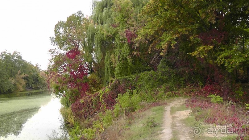 Альбом отзыва "Парк "Александрия" и г. Белая Церковь. Часть I"