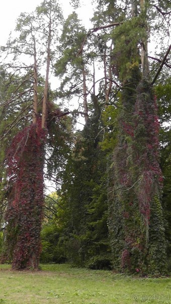 Альбом отзыва "Парк "Александрия" и г. Белая Церковь. Часть I"