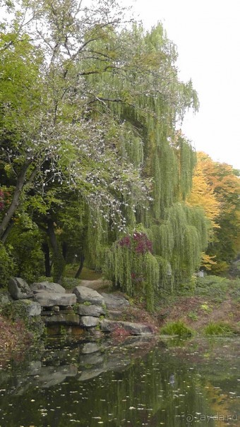 Альбом отзыва "Парк "Александрия" и г. Белая Церковь. Часть I"