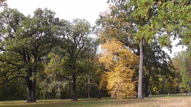 Альбом отзыва "Парк "Александрия" и г. Белая Церковь. Часть I"
