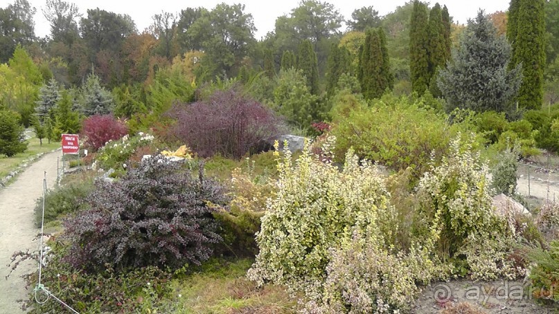 Альбом отзыва "Парк "Александрия" и г. Белая Церковь. Часть I"