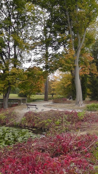 Альбом отзыва "Парк "Александрия" и г. Белая Церковь. Часть I"