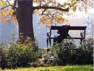 Альбом отзыва "Парк "Александрия" и г. Белая Церковь. Часть I"