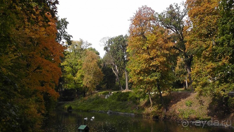 Альбом отзыва "Парк "Александрия" и г. Белая Церковь. Часть I"