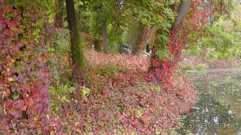 Альбом отзыва "Парк "Александрия" и г. Белая Церковь. Часть I"