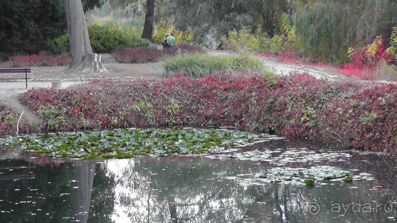 Альбом отзыва "Парк "Александрия" и г. Белая Церковь. Часть I"