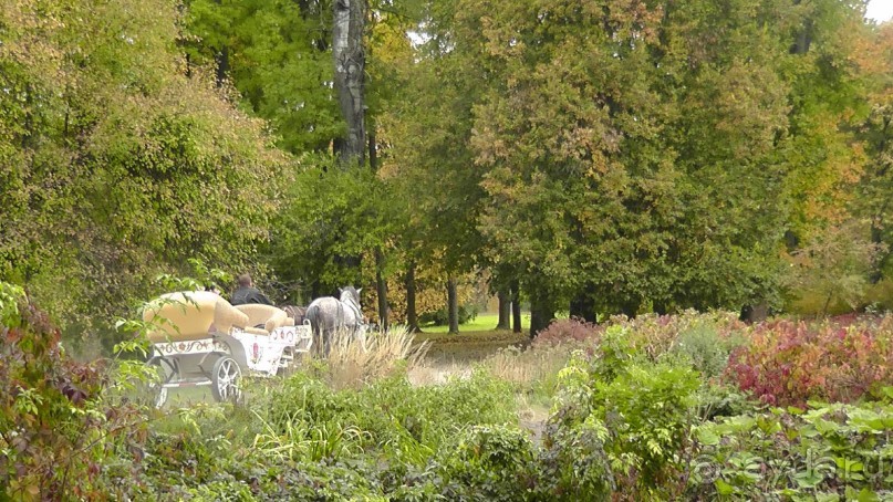 Альбом отзыва "Парк "Александрия" и г. Белая Церковь. Часть I"