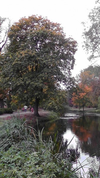 Альбом отзыва "Парк "Александрия" и г. Белая Церковь. Часть I"