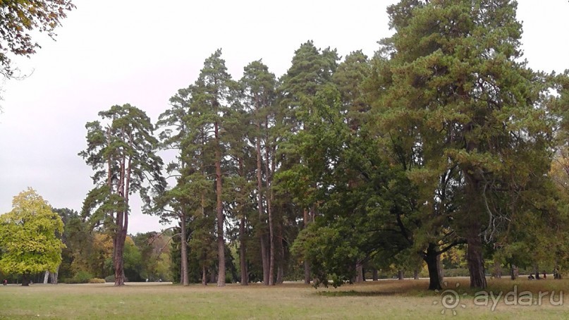 Парк "Александрия" и г. Белая Церковь. Часть I