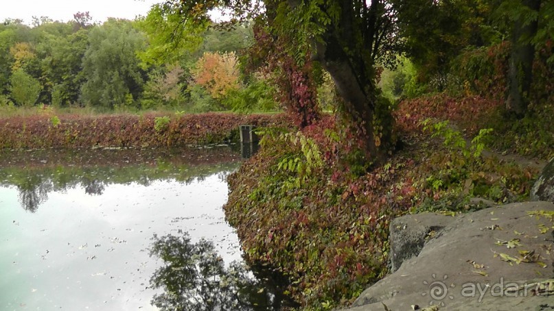 Альбом отзыва "Парк "Александрия" и г. Белая Церковь. Часть I"