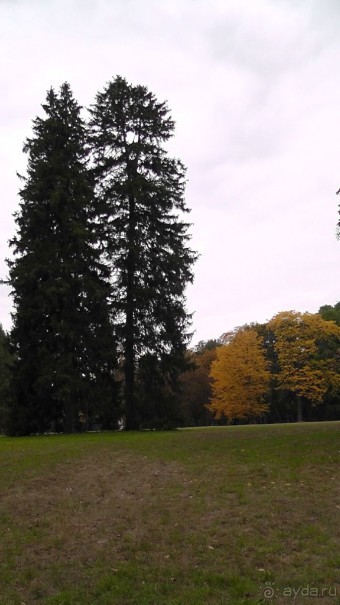 Альбом отзыва "Парк "Александрия" и г. Белая Церковь. Часть I"