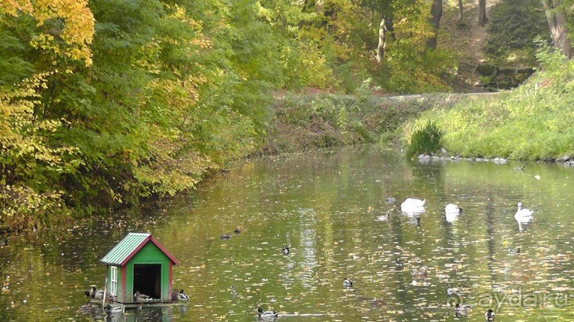 Альбом отзыва "Парк "Александрия" и г. Белая Церковь. Часть I"