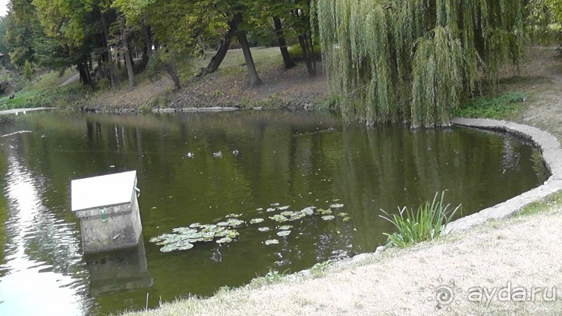 Альбом отзыва "Парк "Александрия" и г. Белая Церковь. Часть I"