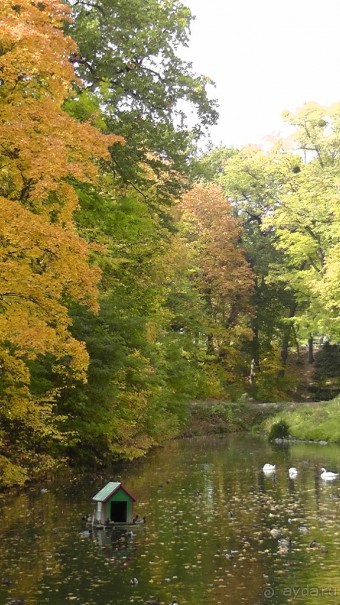 Альбом отзыва "Парк "Александрия" и г. Белая Церковь. Часть I"