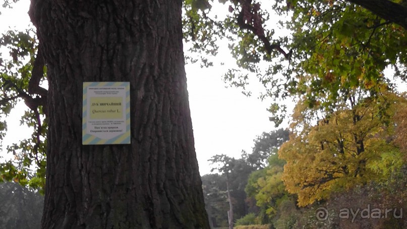 Альбом отзыва "Парк "Александрия" и г. Белая Церковь. Часть I"