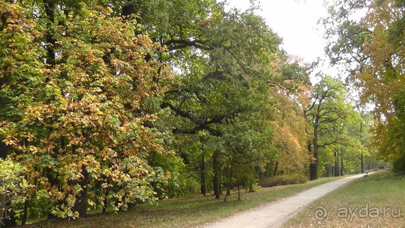 Альбом отзыва "Парк "Александрия" и г. Белая Церковь. Часть I"