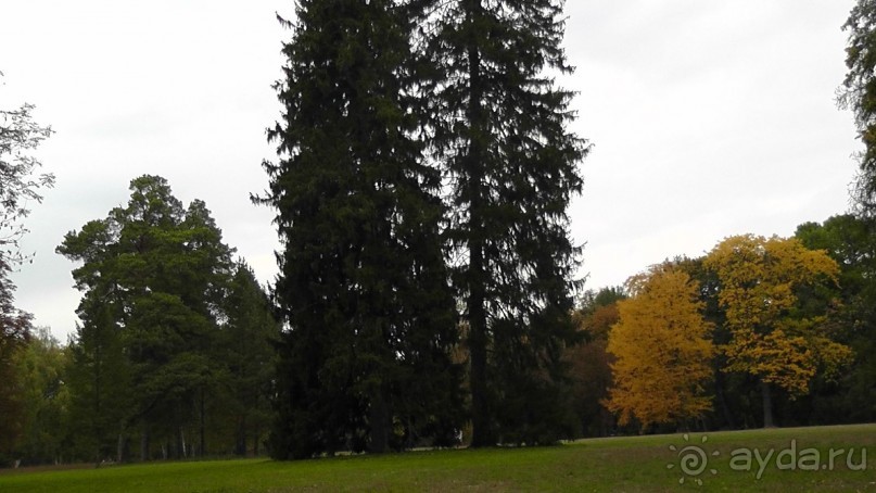 Альбом отзыва "Парк "Александрия" и г. Белая Церковь. Часть I"