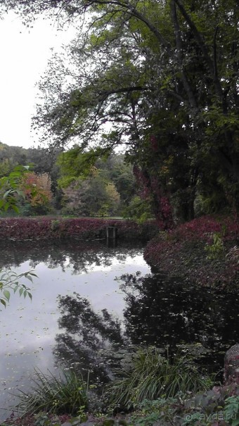 Альбом отзыва "Парк "Александрия" и г. Белая Церковь. Часть I"