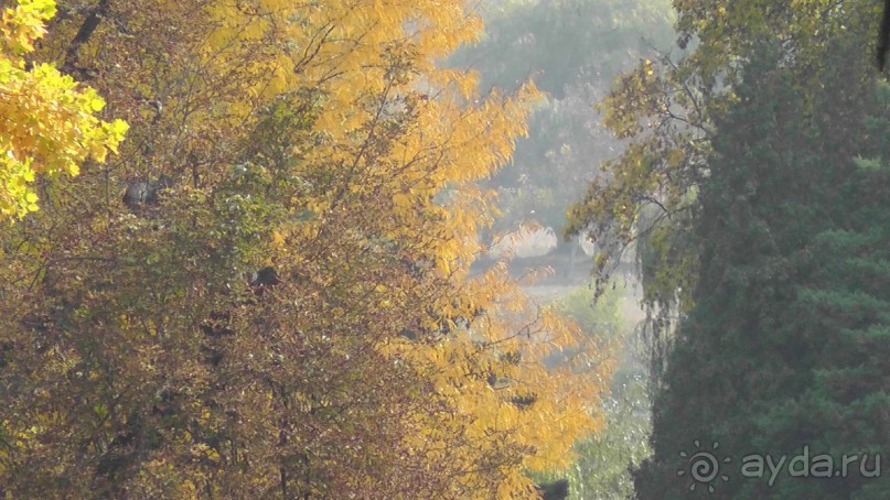 Альбом отзыва "Парк "Александрия" и г. Белая Церковь. Часть I"