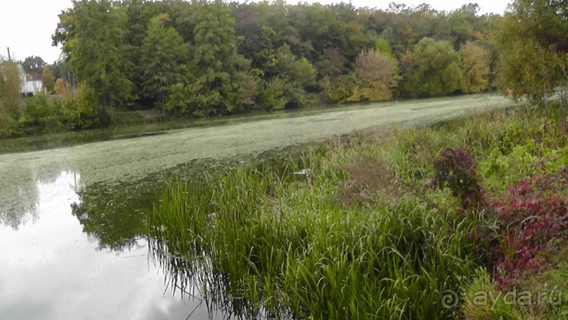 Альбом отзыва "Парк "Александрия" и г. Белая Церковь. Часть I"