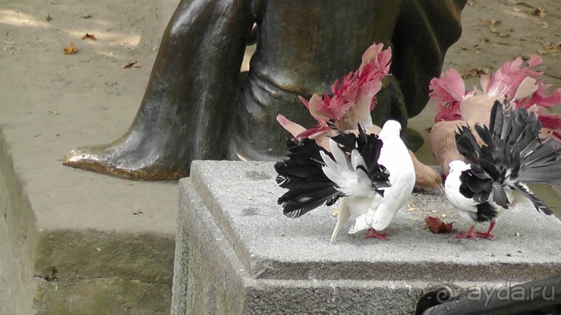 Альбом отзыва "Парк "Александрия" и г. Белая Церковь. Часть I"