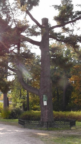 Парк "Александрия" и г. Белая Церковь. Часть I