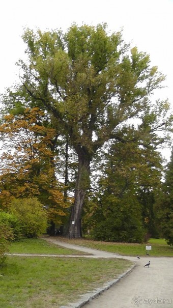Парк "Александрия" и г. Белая Церковь. Часть I