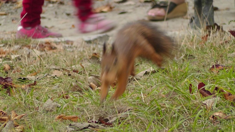 Парк "Александрия" и г. Белая Церковь. Часть I