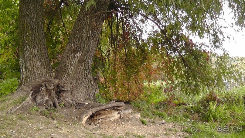 Альбом отзыва "Парк "Александрия" и г. Белая Церковь. Часть I"