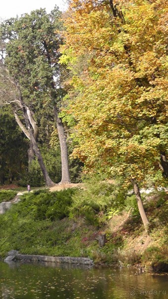 Альбом отзыва "Парк "Александрия" и г. Белая Церковь. Часть I"