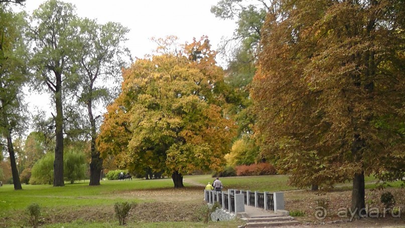 Альбом отзыва "Парк "Александрия" и г. Белая Церковь. Часть I"